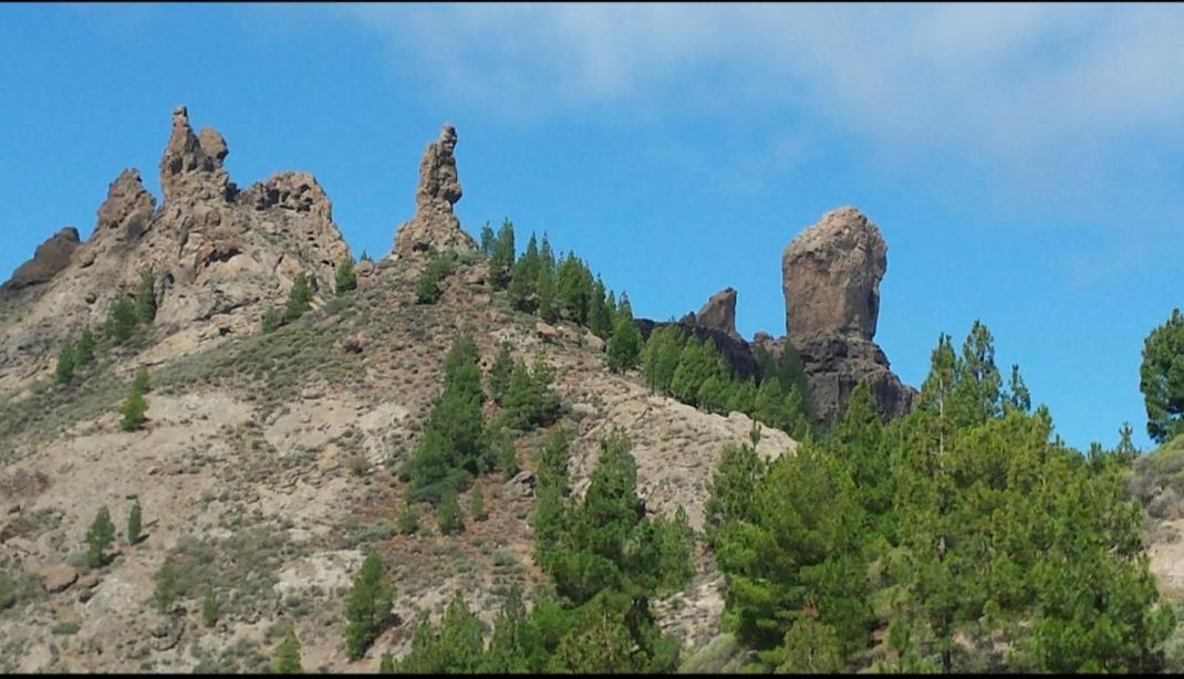 Piso Zona Mesa Y Lopez